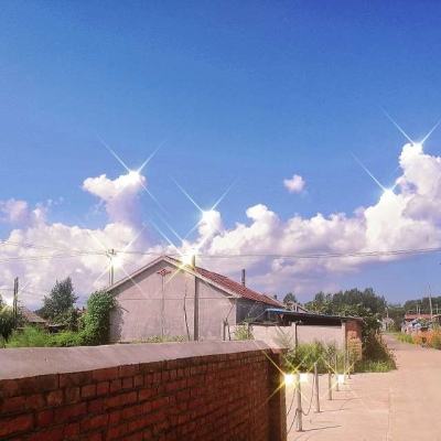 橙光仙路传说金手指破解版2020下载